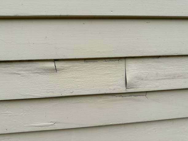 Best Siding for Commercial Buildings  in Affton, MO